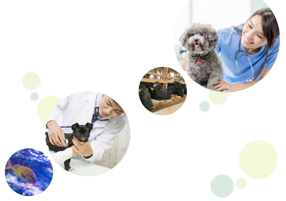 日本の獣医学を担う学生を支えたい。髙居百合子獣医学奨学財団は返還の必要がない給付型奨学金です